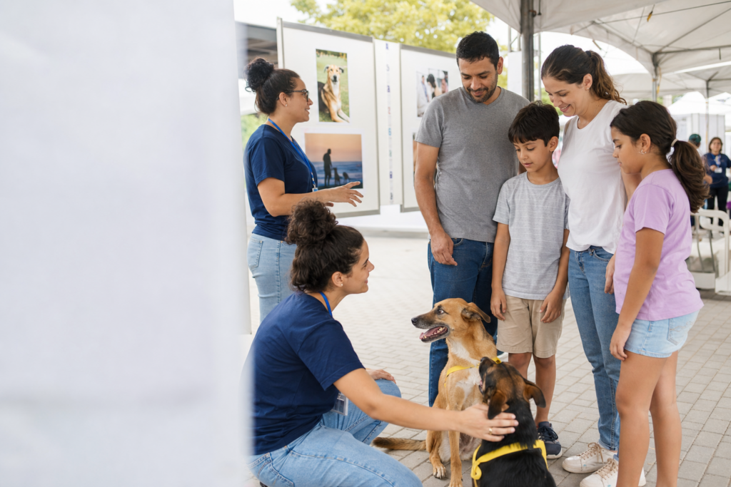 Adoção responsável também é experiência: o que eventos bem organizados ensinam ao setor pet