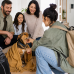 Antes de contratar um serviço pet nas férias, cinco perguntas que protegem a rotina da família
