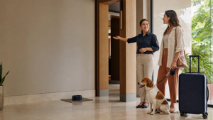 Pet friendly deixou de ser placa na porta: o que muda quando um serviço precisa combinar regras claras